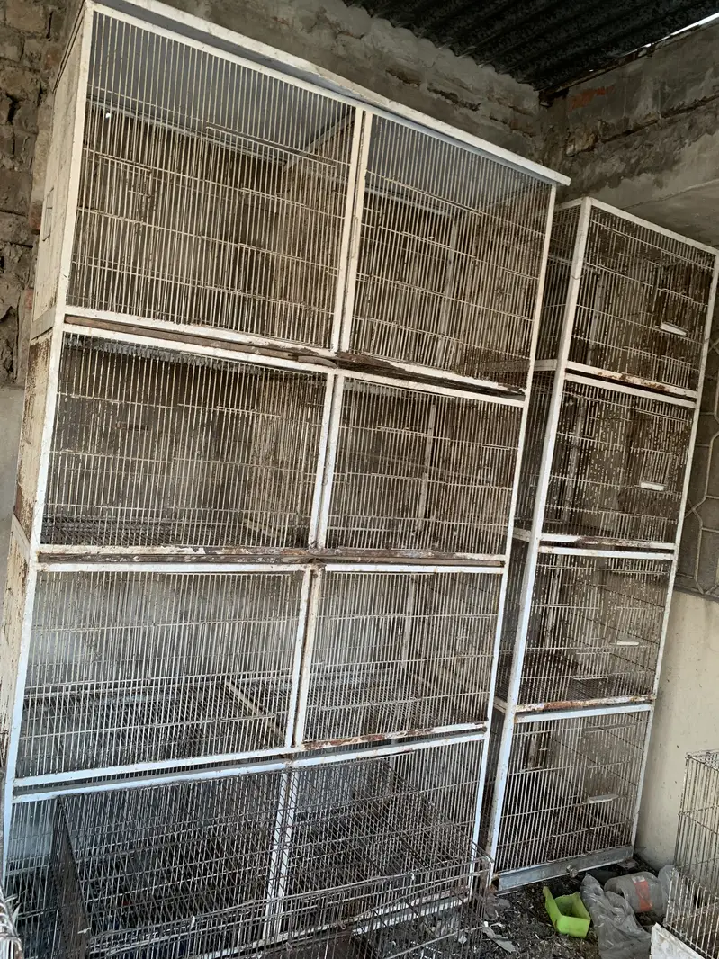 Birds Cages For sale — photo 2