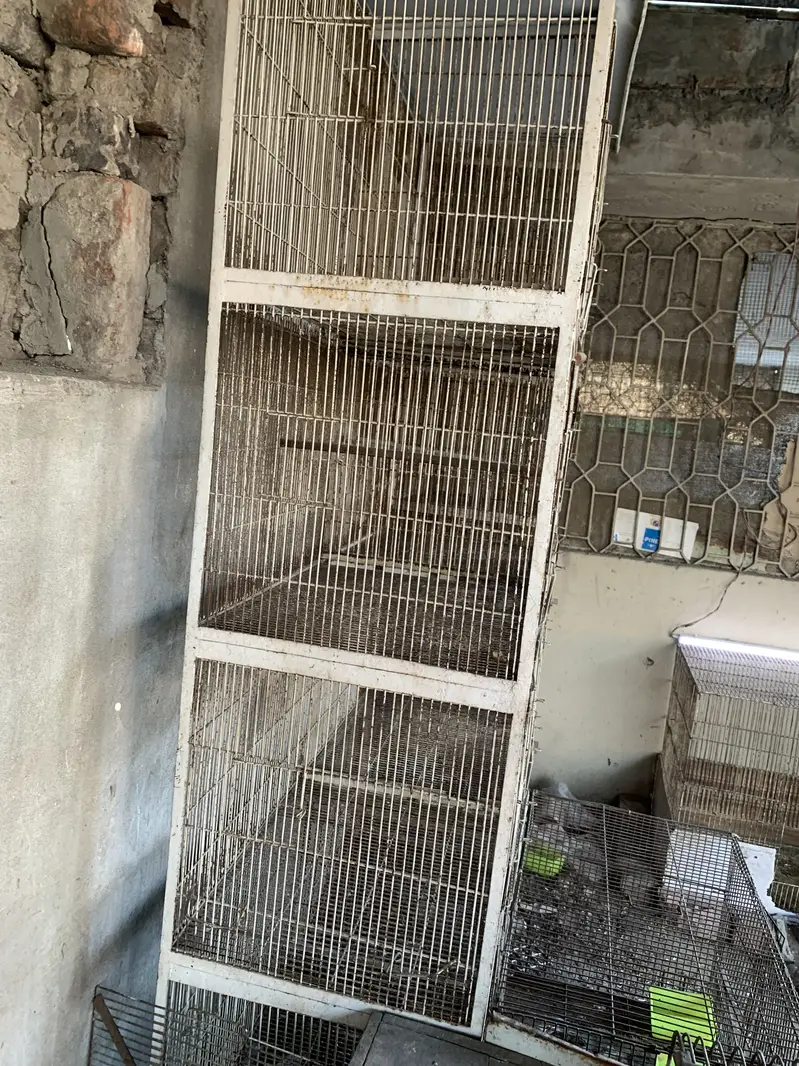 Birds Cages For sale — photo 3
