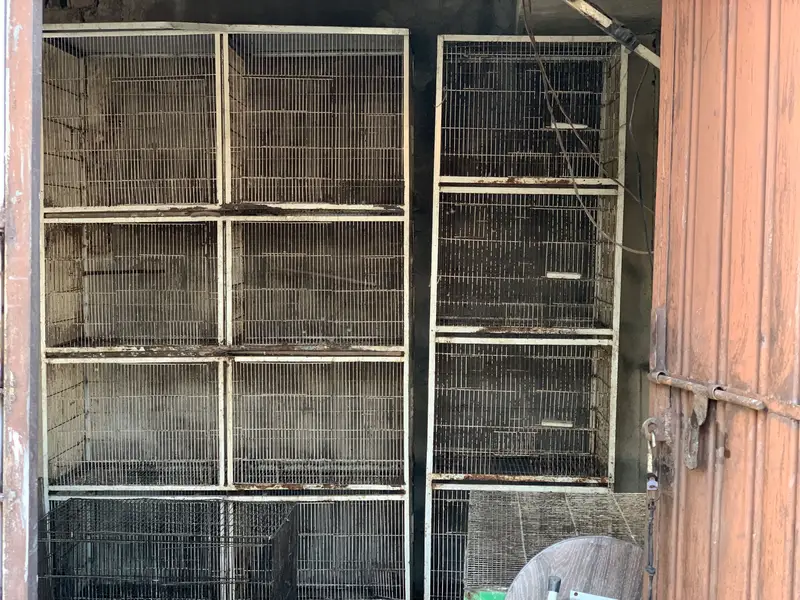 Birds Cages For sale — photo 4