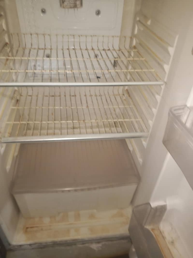standard size fridge 1
