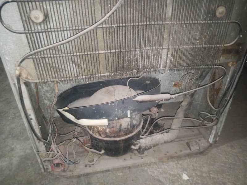 standard size fridge 7