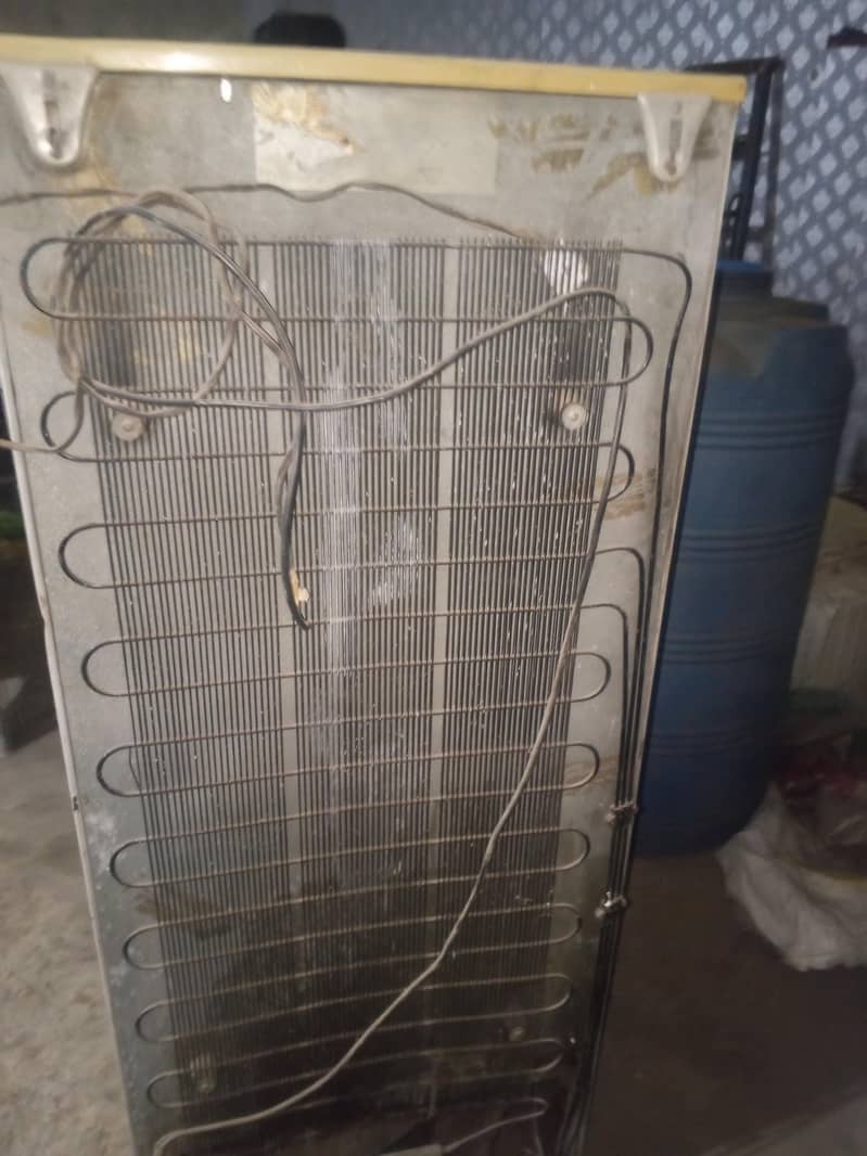 standard size fridge 8