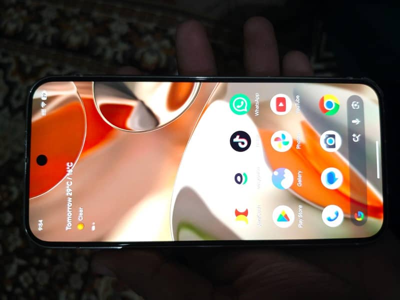 Google Pixel 9 Pro XL 1