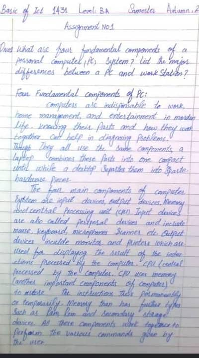 AIOU spring assignments