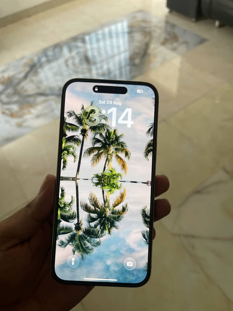iPhone 14 Pro Max JV 7