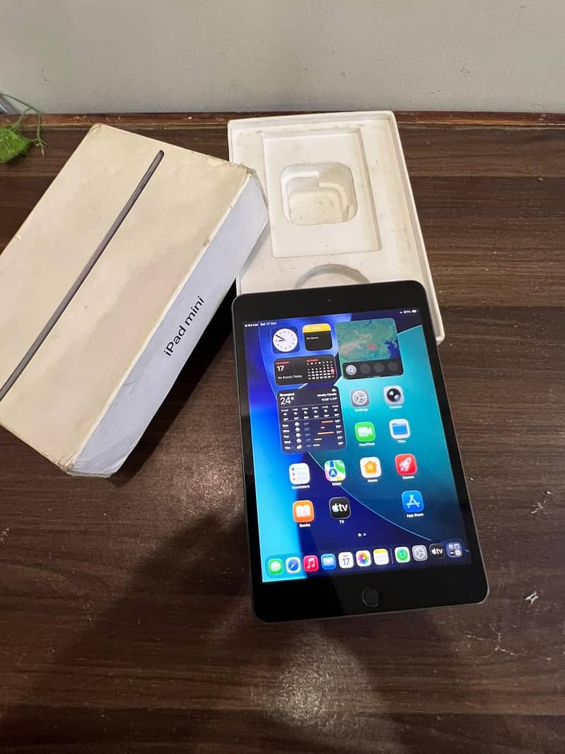 IPAD MINI 5 0