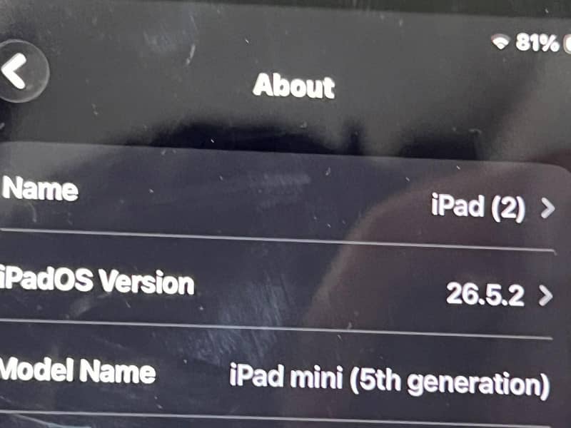 IPAD MINI 5 1