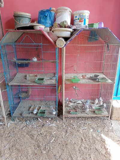 2 Portion cages
