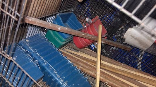 Birds Breeding Boxes,Matki, Cages Pots & Sticks