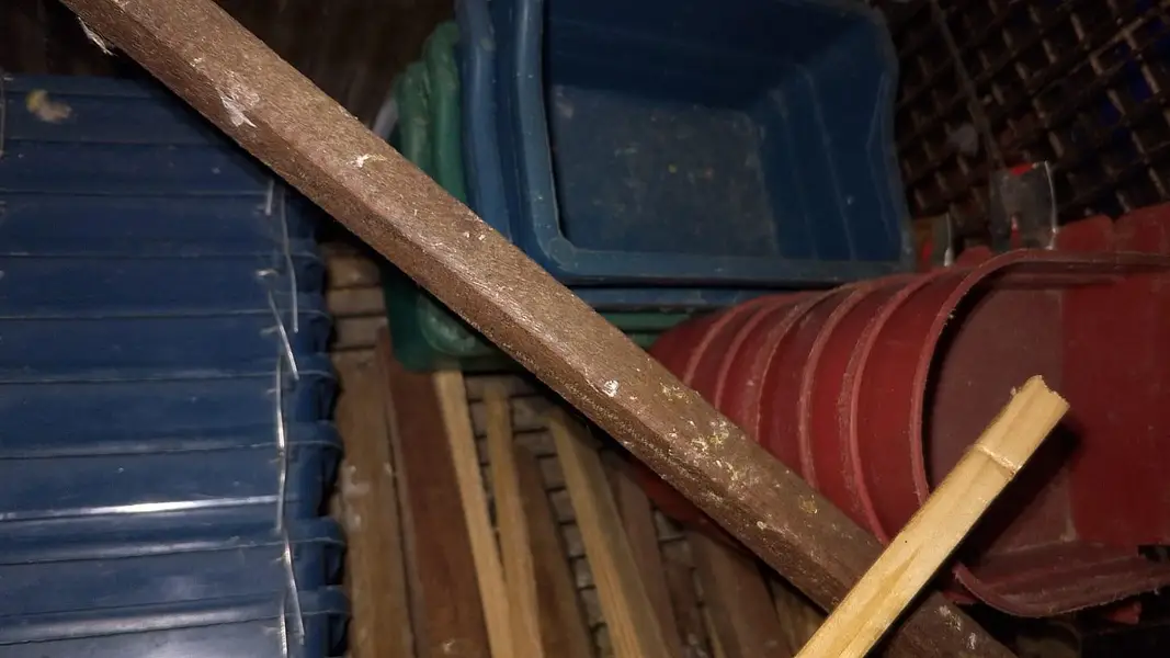 Birds Breeding Boxes,Matki, Cages Pots & Sticks — photo 2