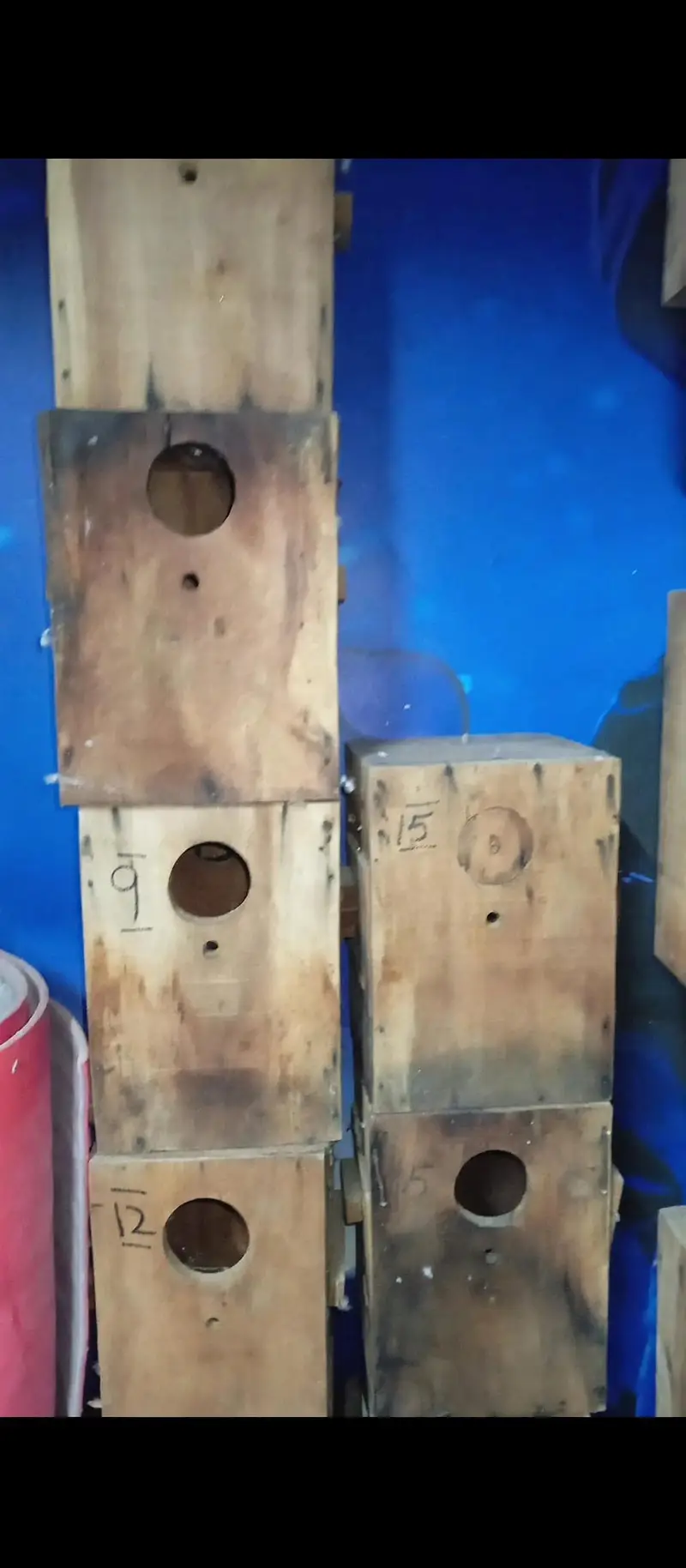 Birds Breeding Boxes,Matki, Cages Pots & Sticks — photo 5