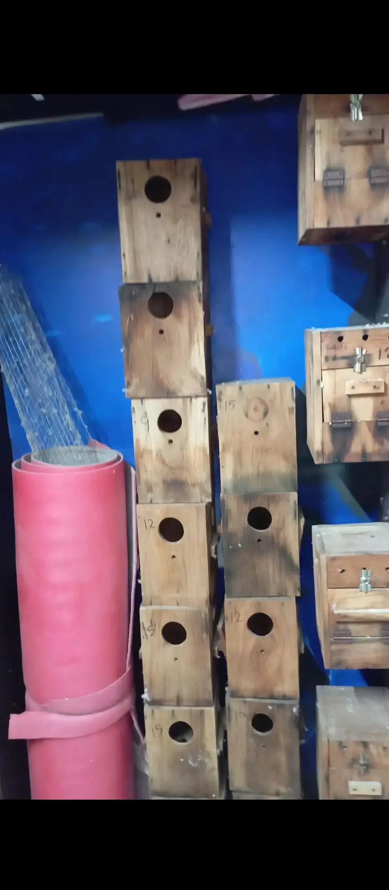 Birds Breeding Boxes,Matki, Cages Pots & Sticks — photo 6