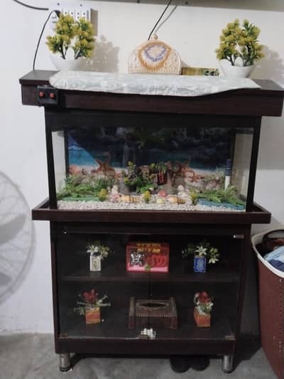acvarium