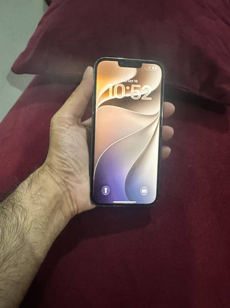 Apple iPhone 13 Pro Max 1