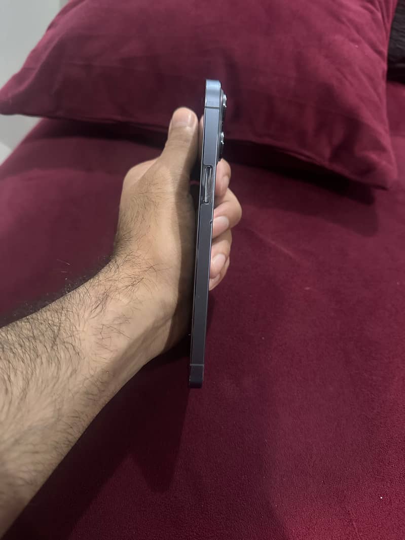 Apple iPhone 13 Pro Max 3