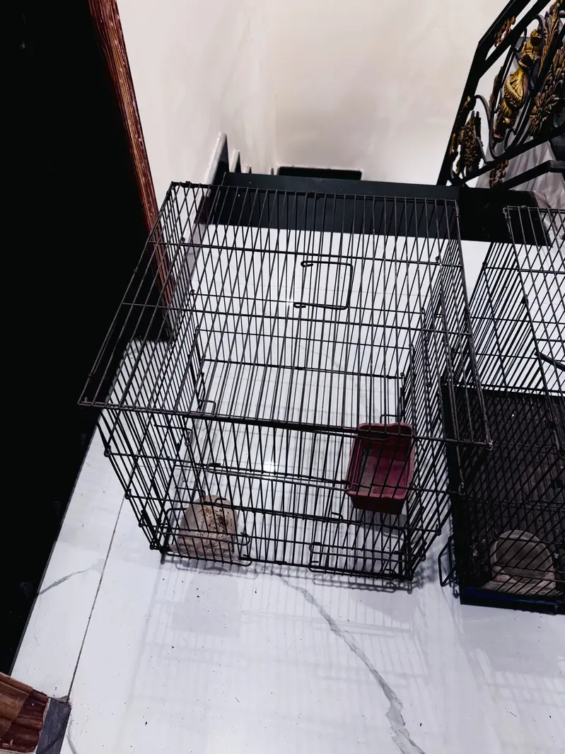 Bird Cage pair For Sale — photo 2