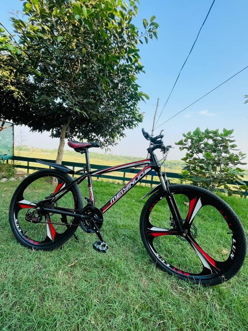imported bicycle 1