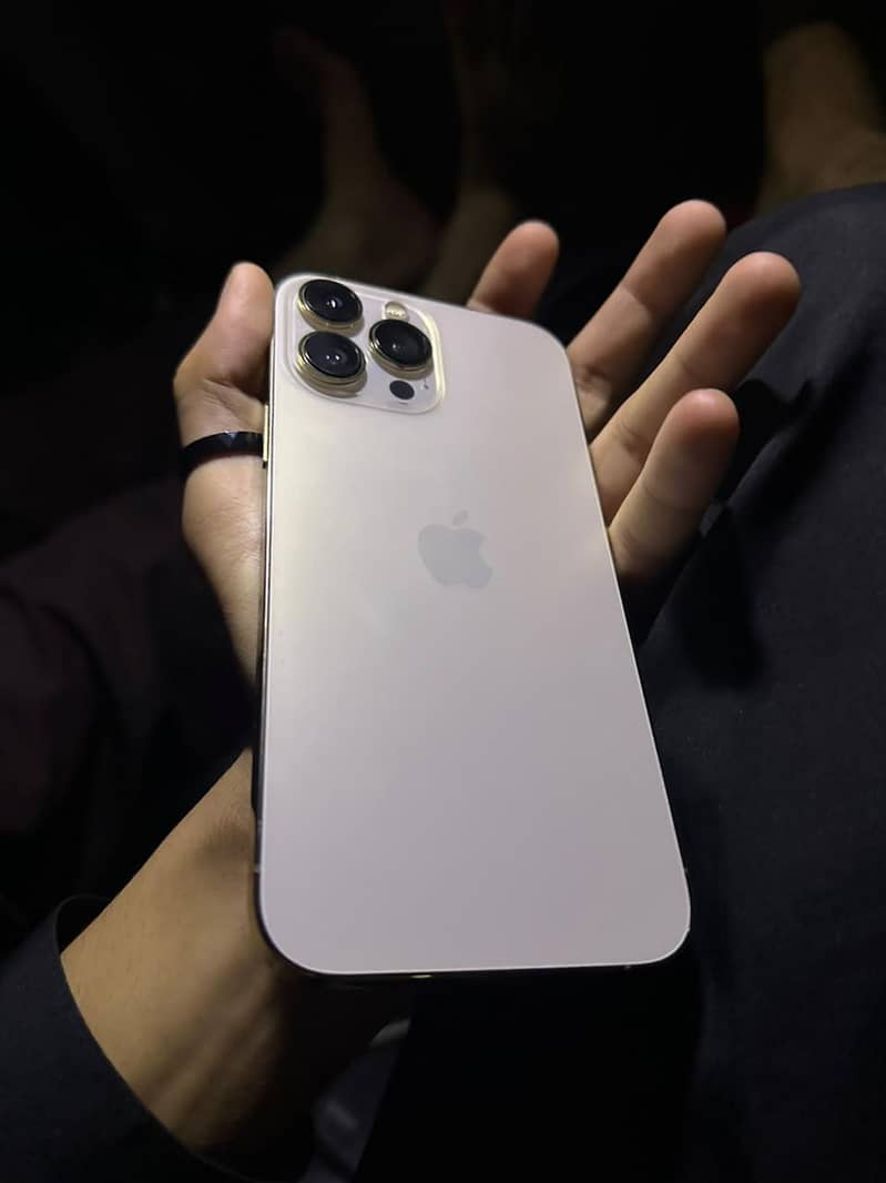 Apple iPhone 13 Pro Max 2