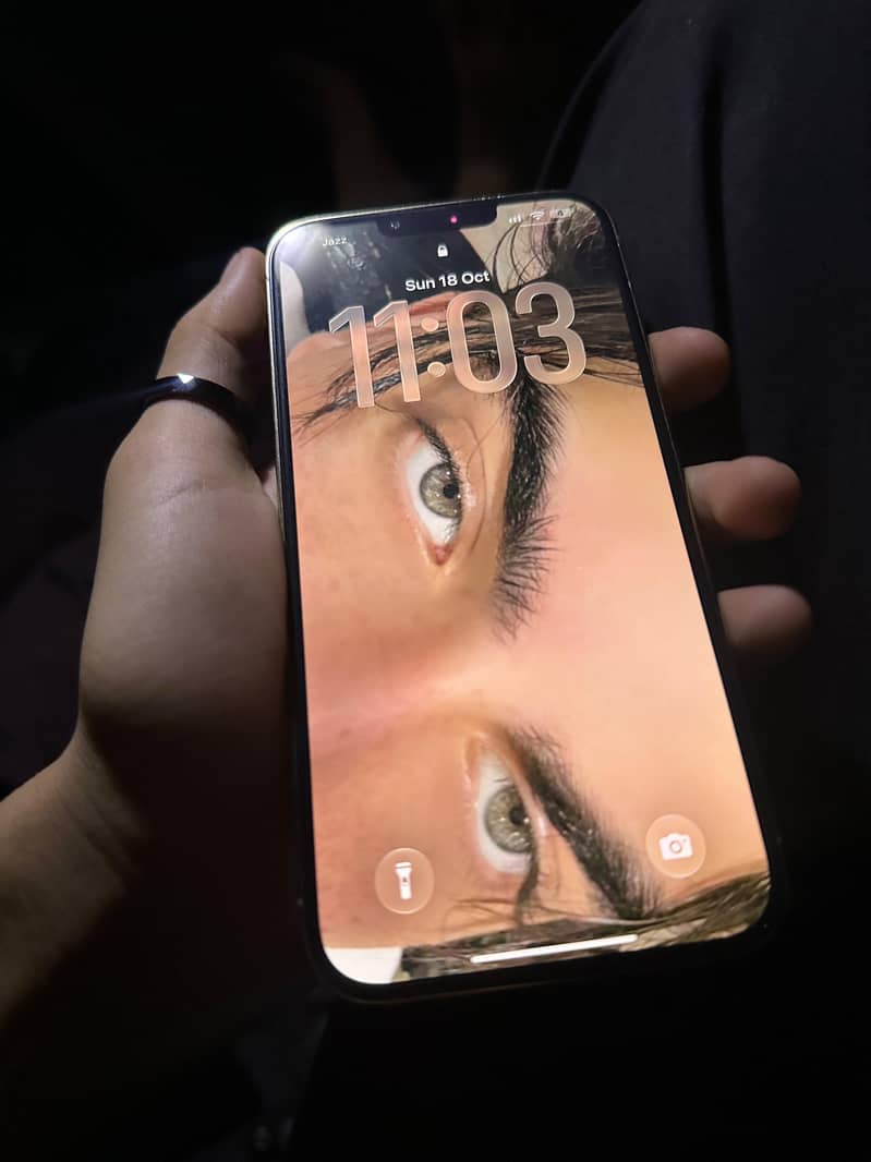 Apple iPhone 13 Pro Max 5