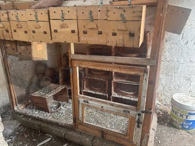 cages and matkiya for sale in reasonable price