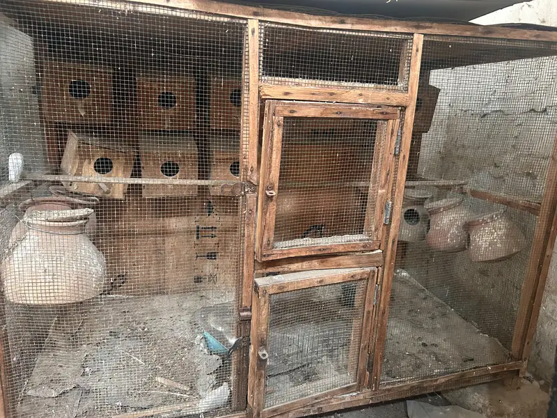 cages and matkiya for sale in reasonable price — photo 4
