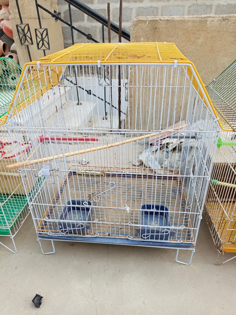 cages and matkiya for sale in reasonable price — photo 12