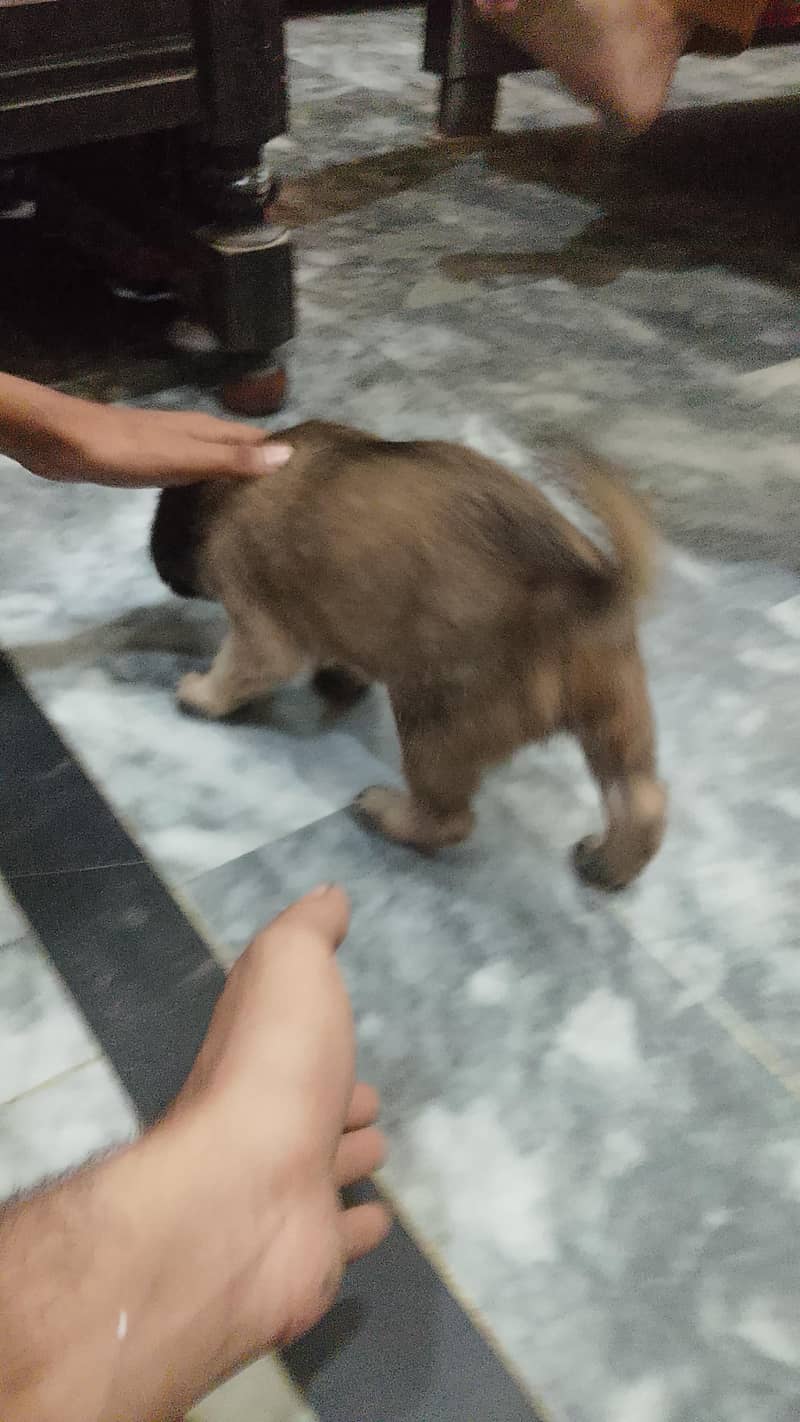 khna mana ga 3
