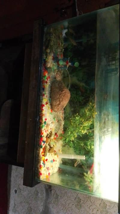 aquarium glass
