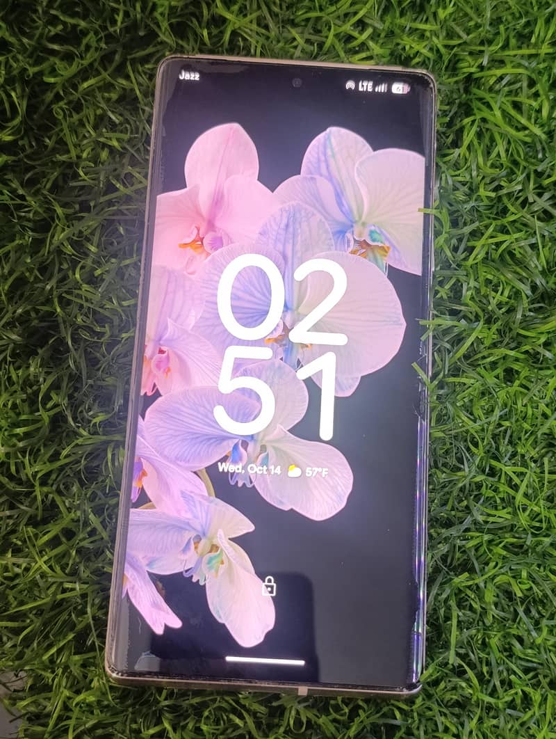 Google Pixel 6 Pro 1