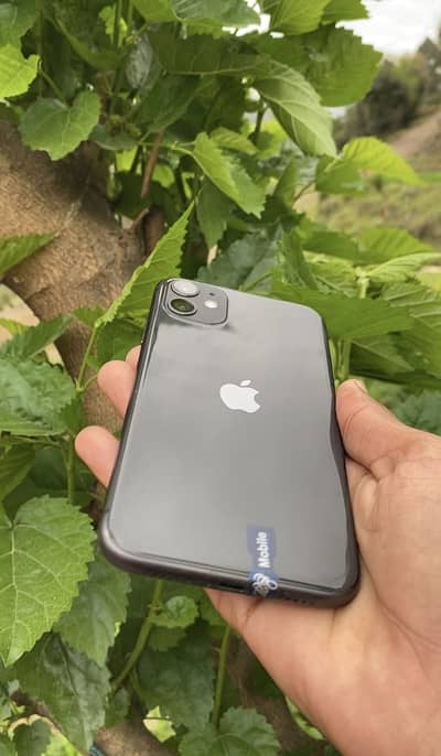 Apple iPhone 11