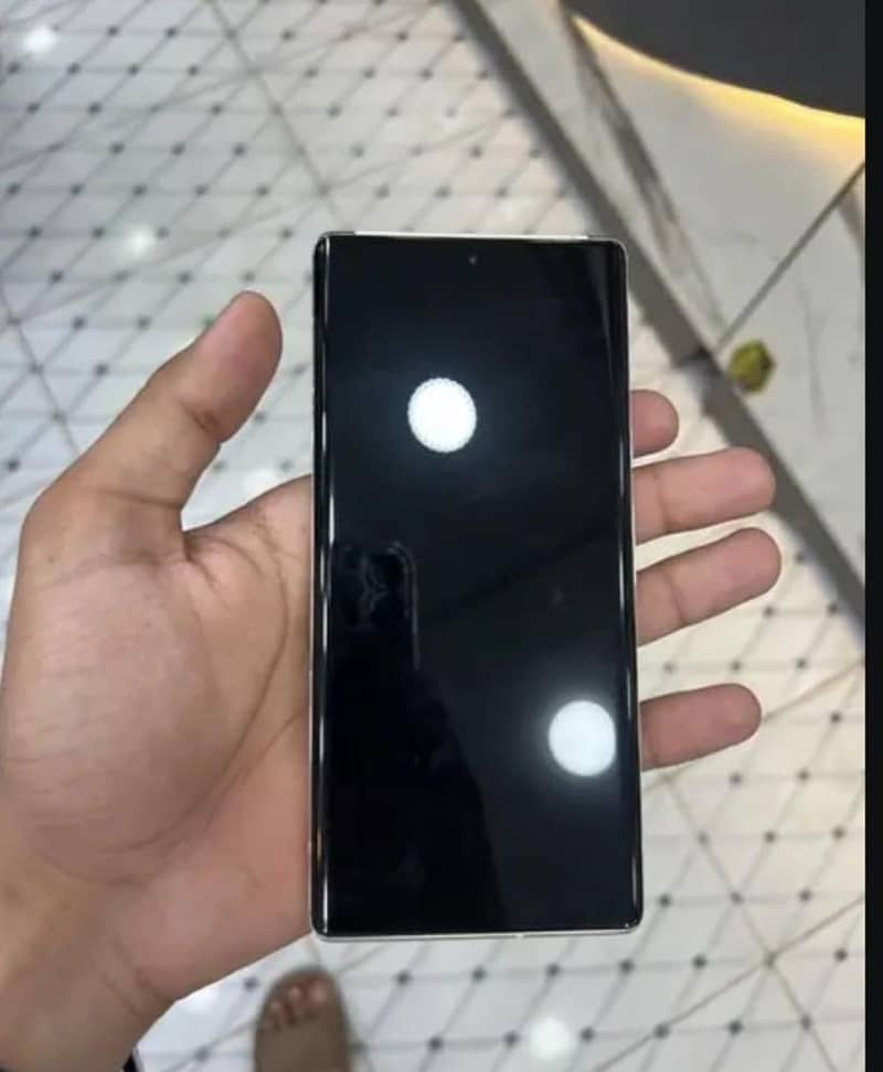 Google Pixel 6 Pro 1