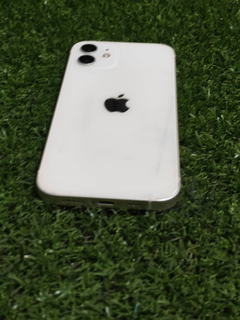 Apple iPhone 12 1