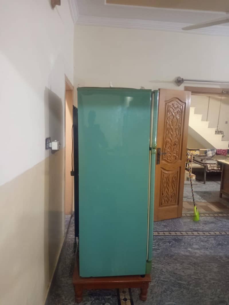 PEL Refrigerator 5