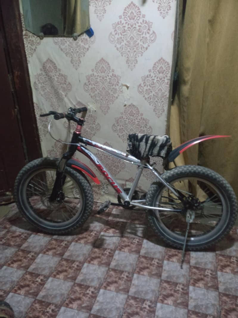 cycle 1