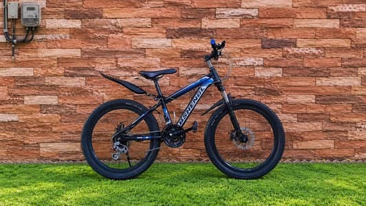 New imported bicycle 10/10 condition {20 number size}