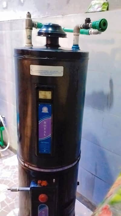 Royal Geyser (auto start) for sale