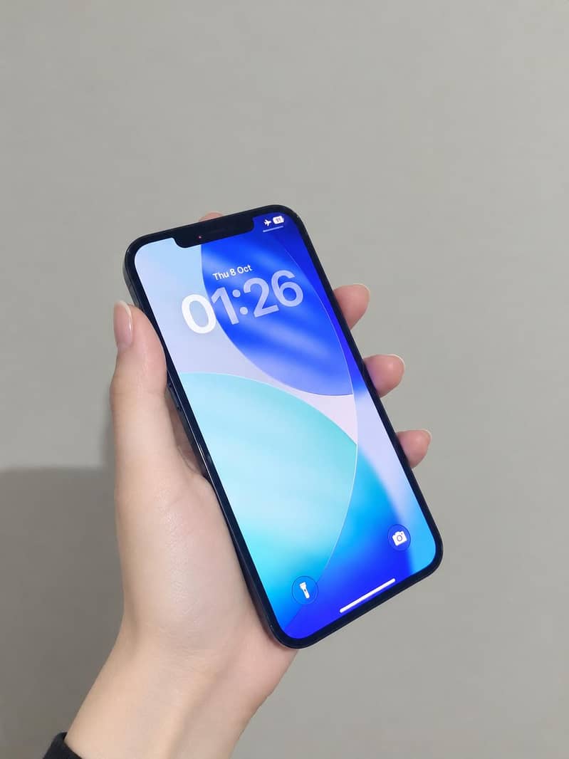 Apple iPhone 12 Pro Max 1