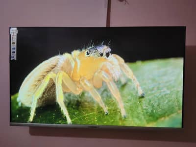 LED TV (Korean Samsung)
