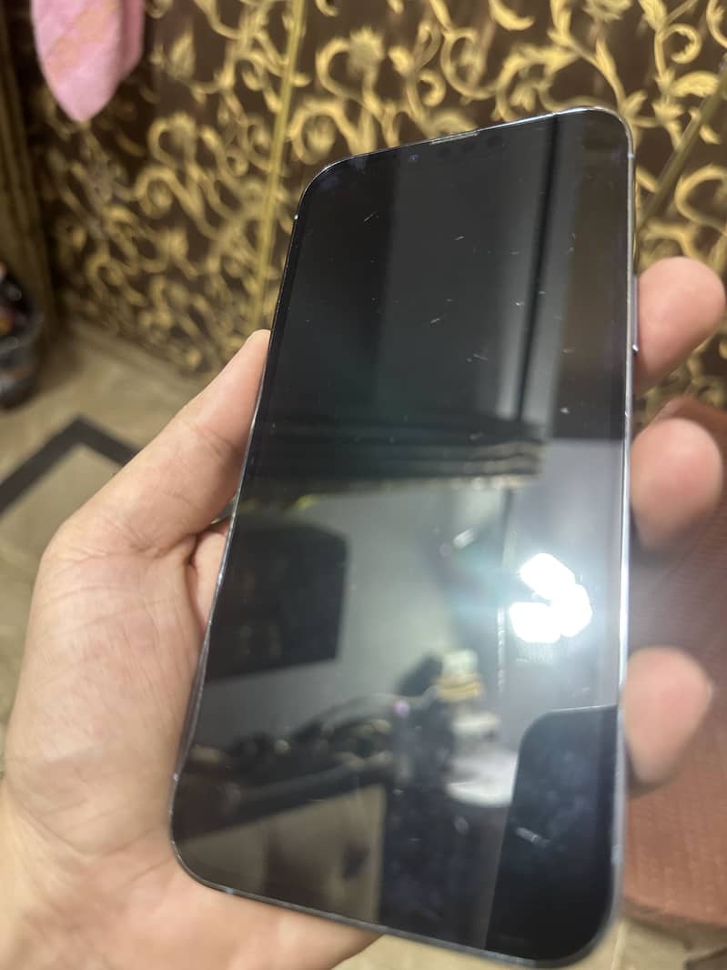 iphone 13 pro max 1