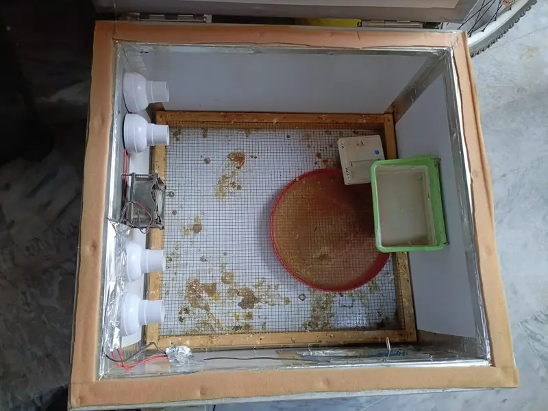 incubator for sale — photo 3