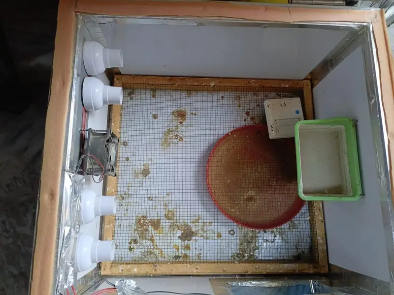 incubator for sale — photo 4