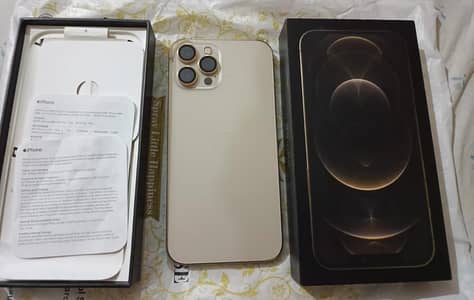 Apple iPhone 12 Pro Max