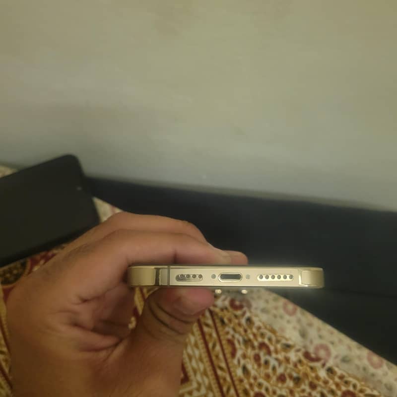 Apple iPhone 13 Pro Max 4