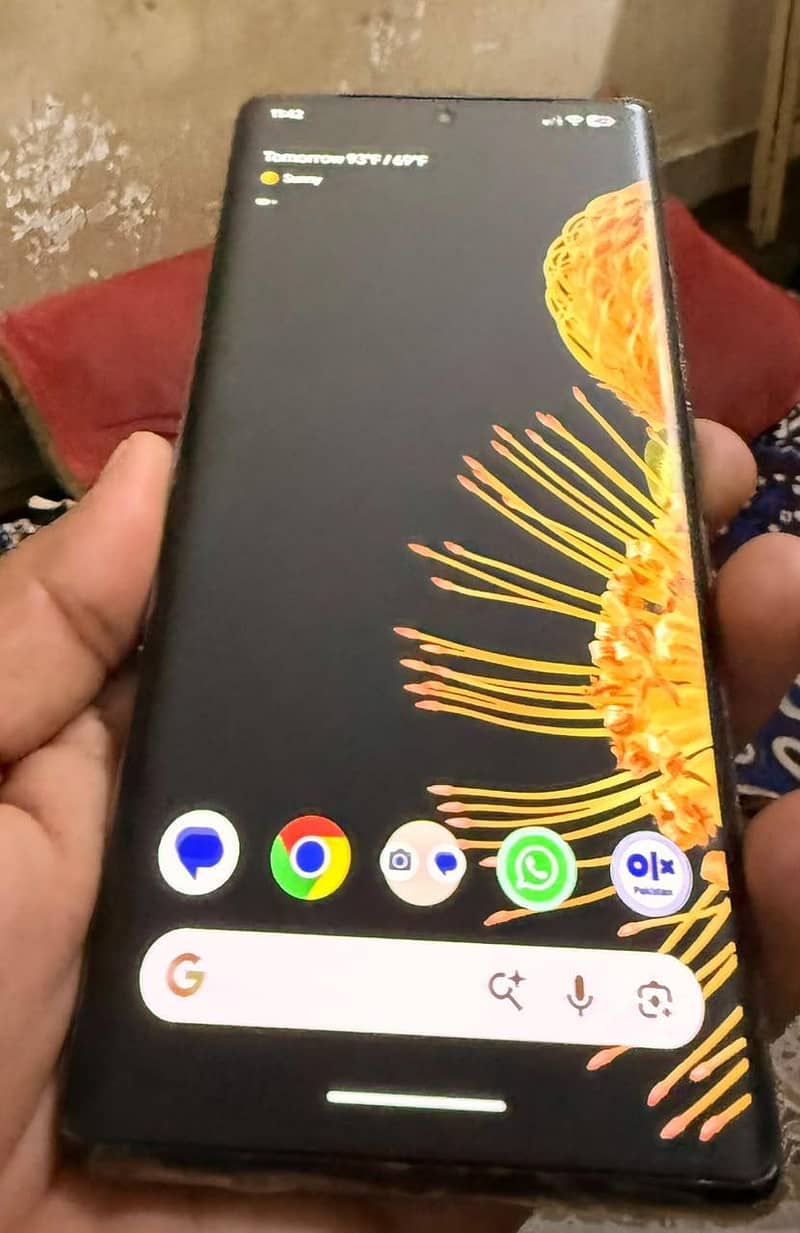 Google Pixel 6 Pro 2