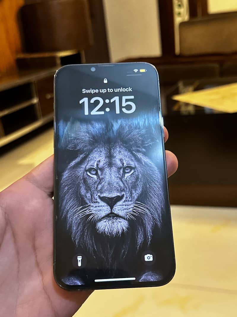 Apple iPhone 13 Pro Max 1