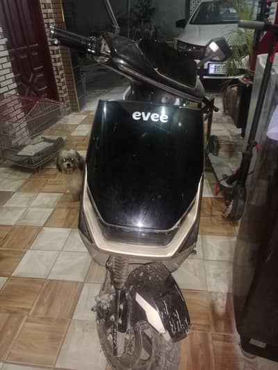 Evee genz for sale