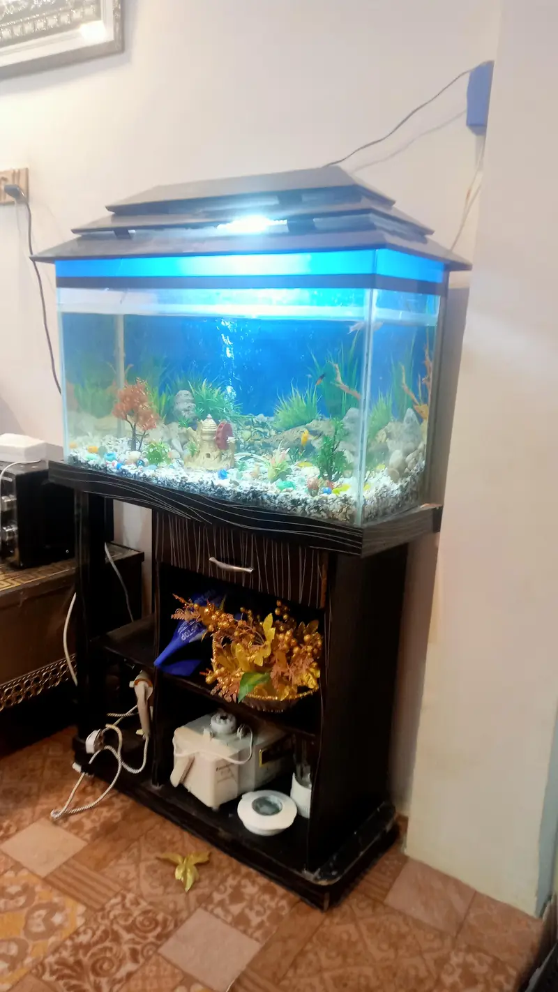 aquarium argent four sale — photo 2