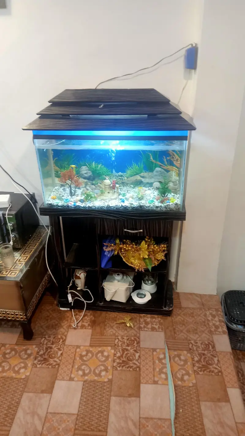 aquarium argent four sale — photo 4