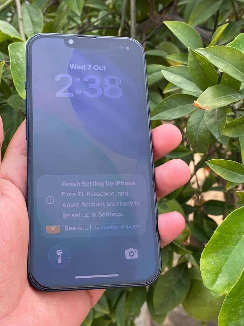 Apple iPhone 13 1
