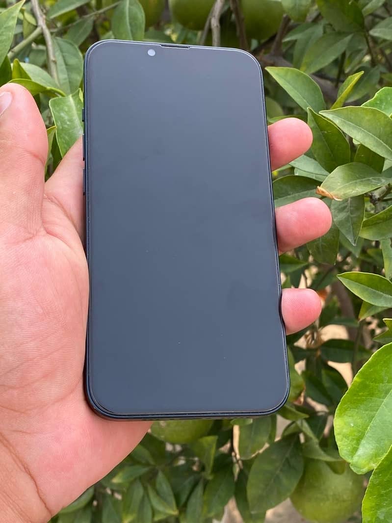 Apple iPhone 13 5